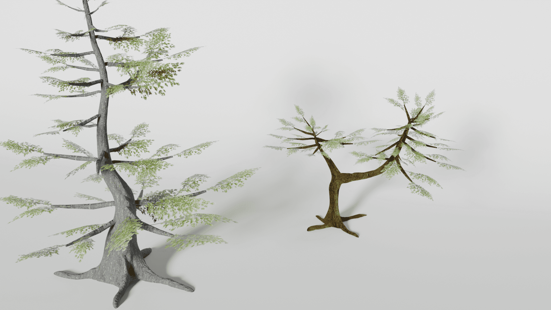 Latest Render